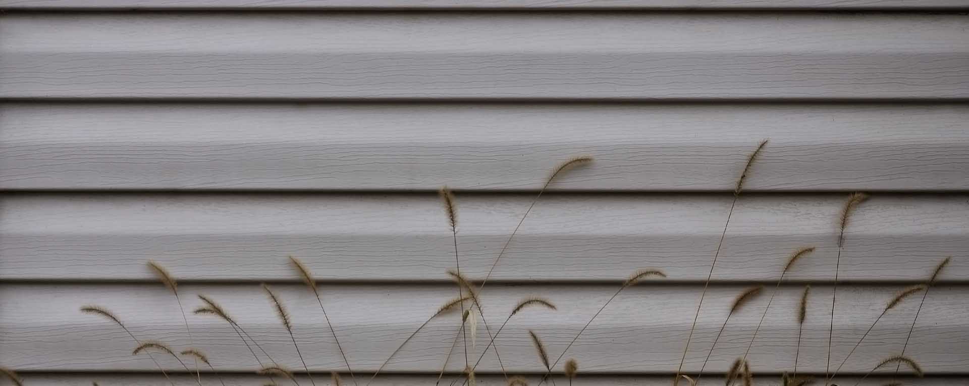 Horizontal gray siding on a Central Texas home exterior with dried foxtail grasses growing in front of the wall
